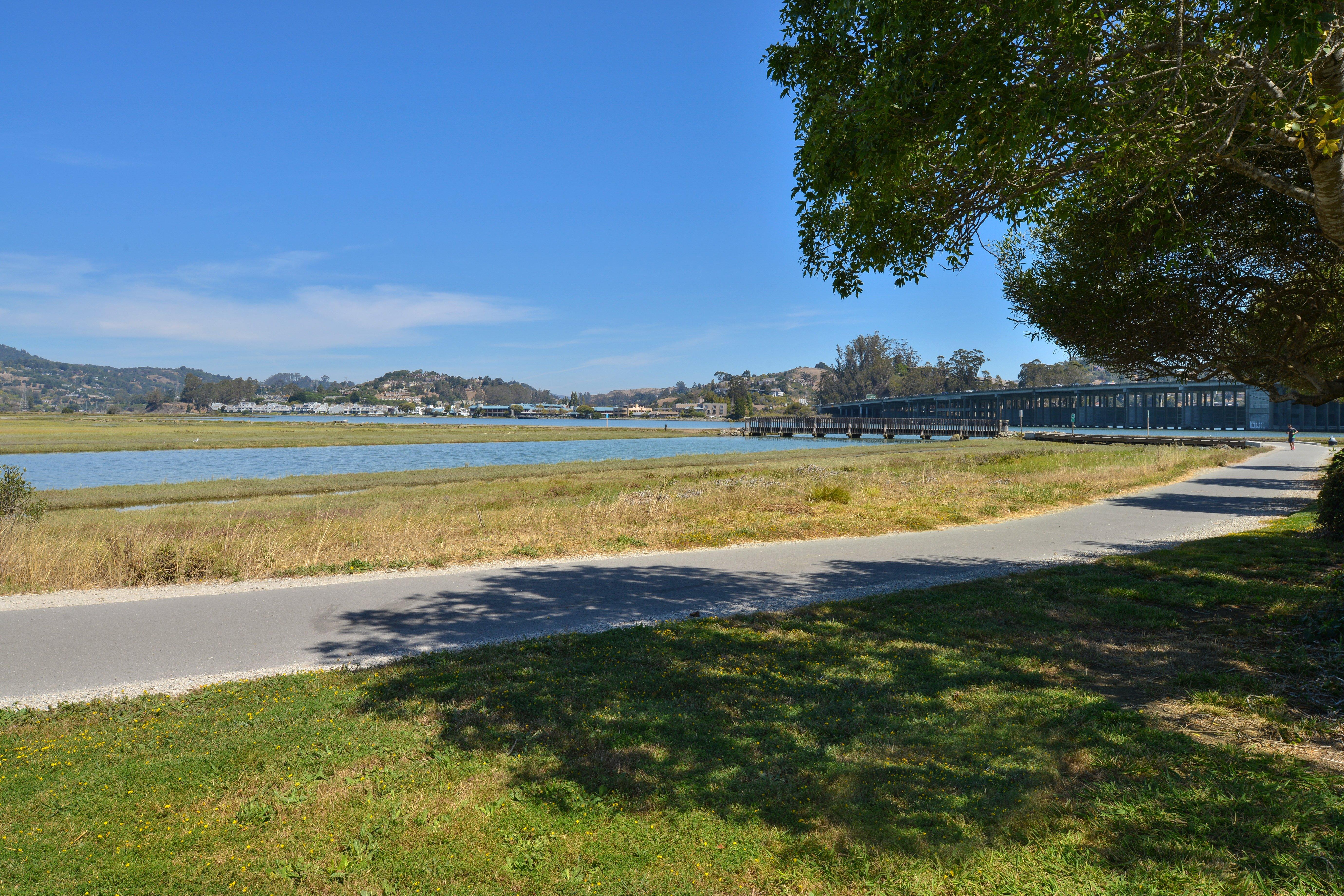 Holiday Inn Express Mill Valley San Francisco Area By Ihg Exterior foto